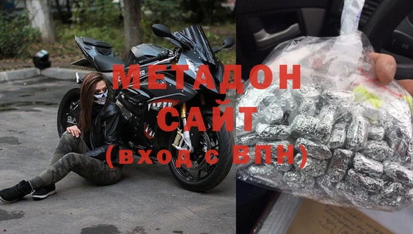 прущие грибы Абаза
