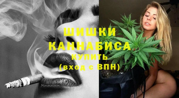 прущие грибы Абаза