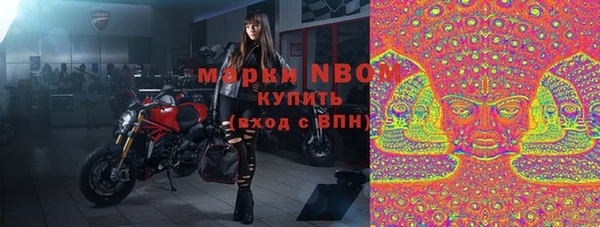 прущие грибы Абаза