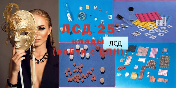 прущие грибы Абаза