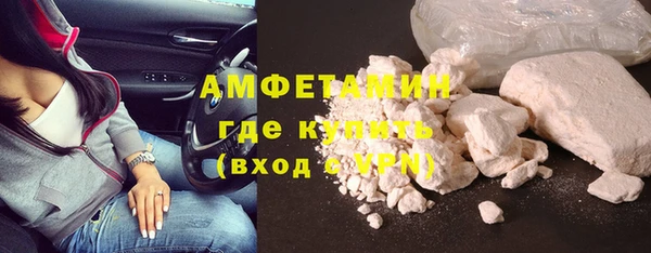прущие грибы Абаза