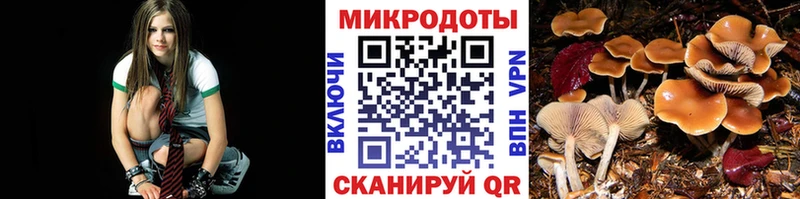 Псилоцибиновые грибы Magic Shrooms где можно купить наркотик Оренбург